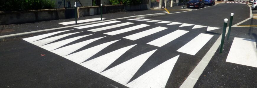 hello-avocat-permis-conduire-dehan-schinazi-best-of-2021