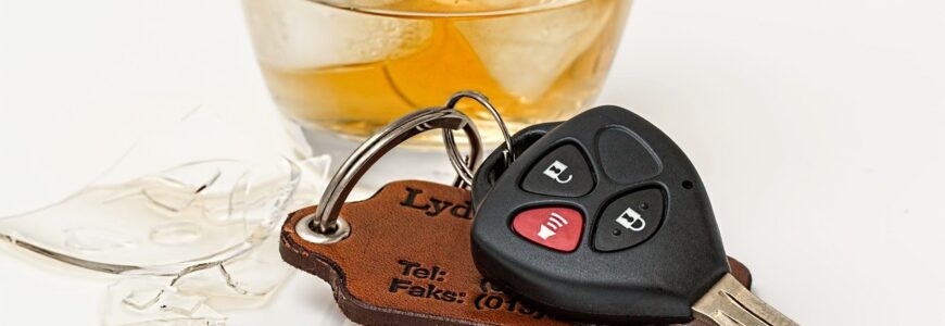 hello-avocat-permis-conduire-dehan-schinazi-best-of-2021